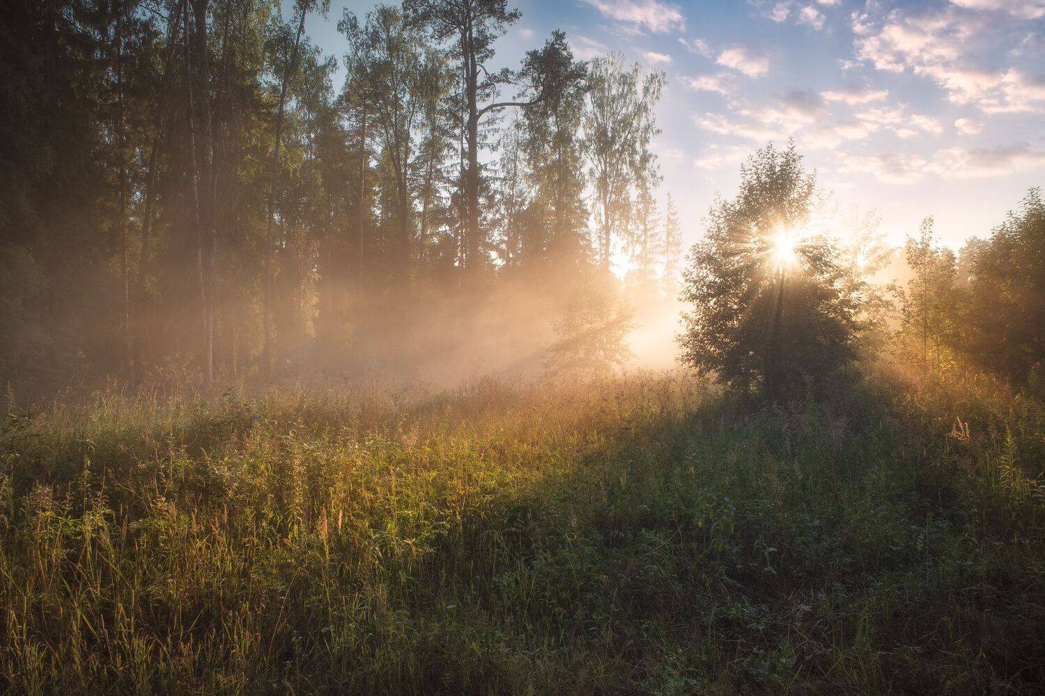 вечер,закат,солнце,свет,лучи, Виталий Полуэктов