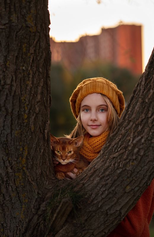 девочка, кот, осень  фото превью