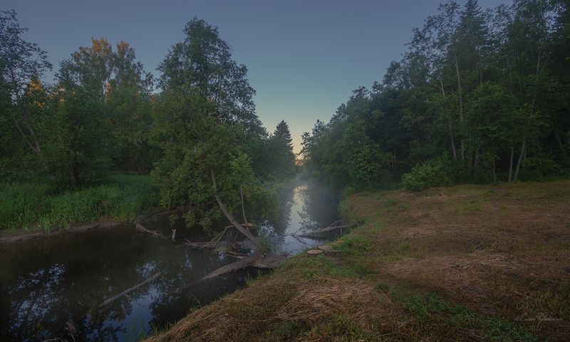 щелыково, куекша, река, костромская область На рассвете фото превью