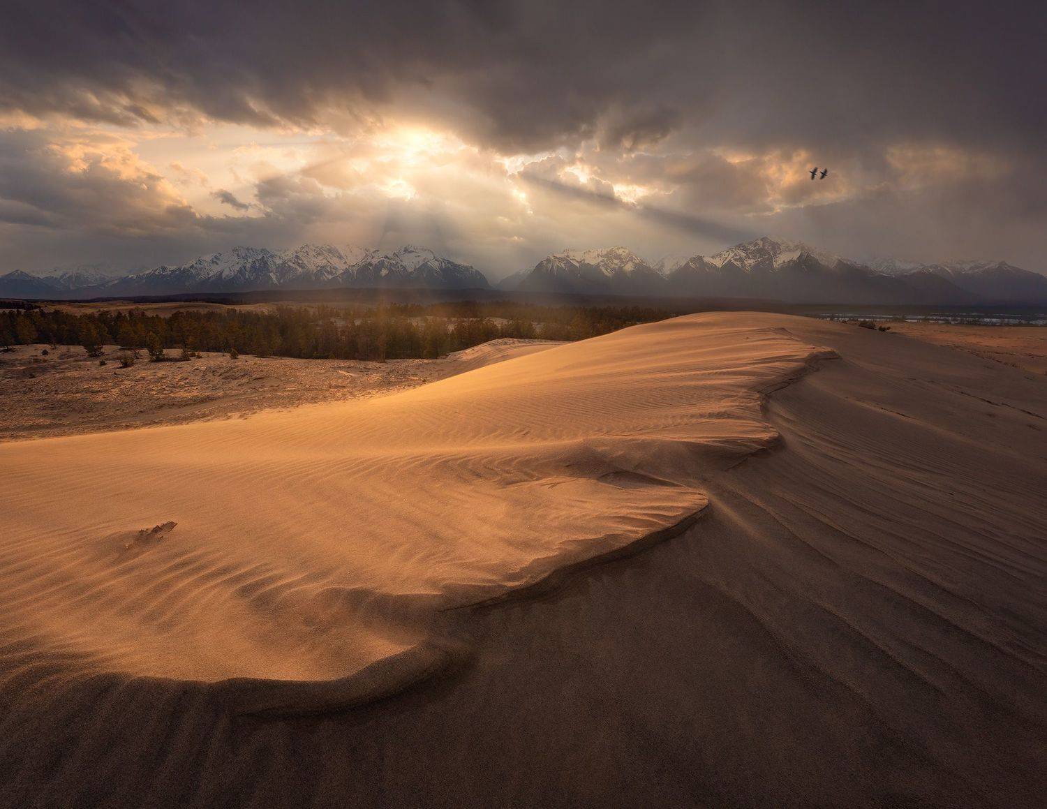забайкалье, чара, пустыня, чарская пустыня, бархан, дюна, закат, Александр Дударев