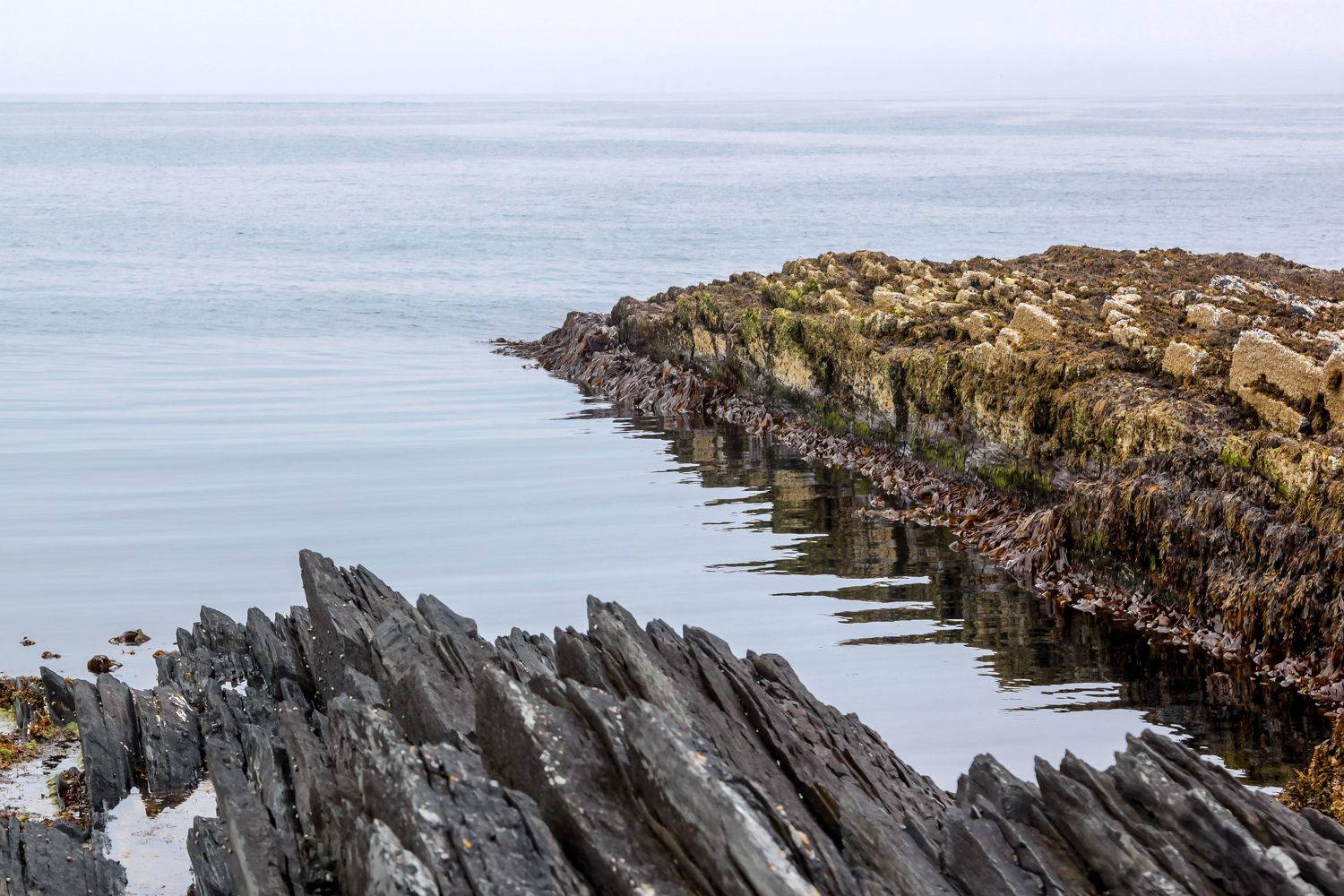 Север,океан, Сагдиева Эльвира