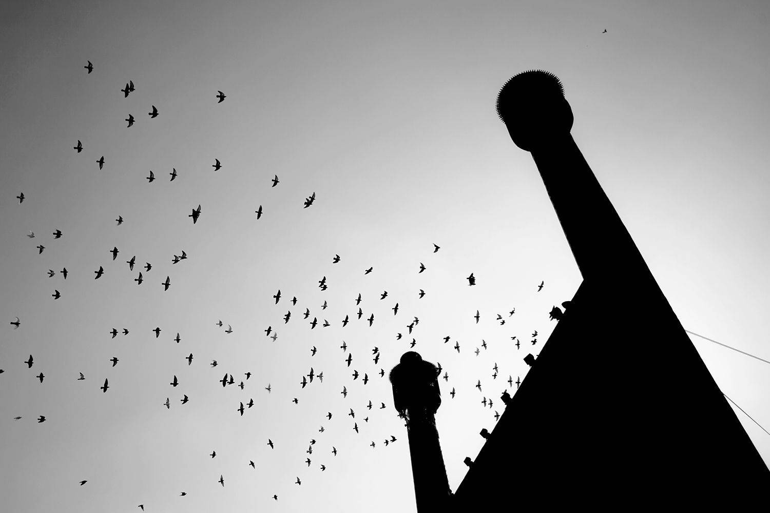 , mehdi karimi souderjani