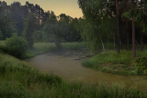 Скоро рассвет.Щелыково