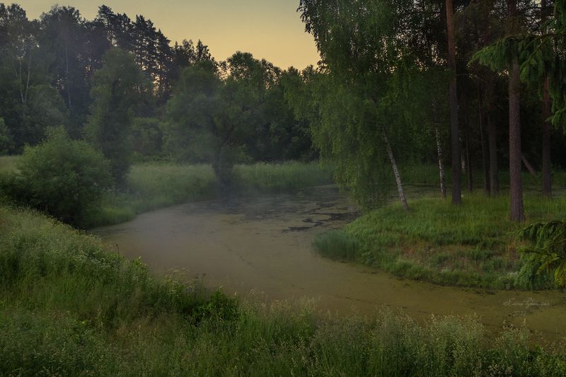 утро, пейзаж, щелыково, костромская область Скоро рассвет.Щелыково фото превью