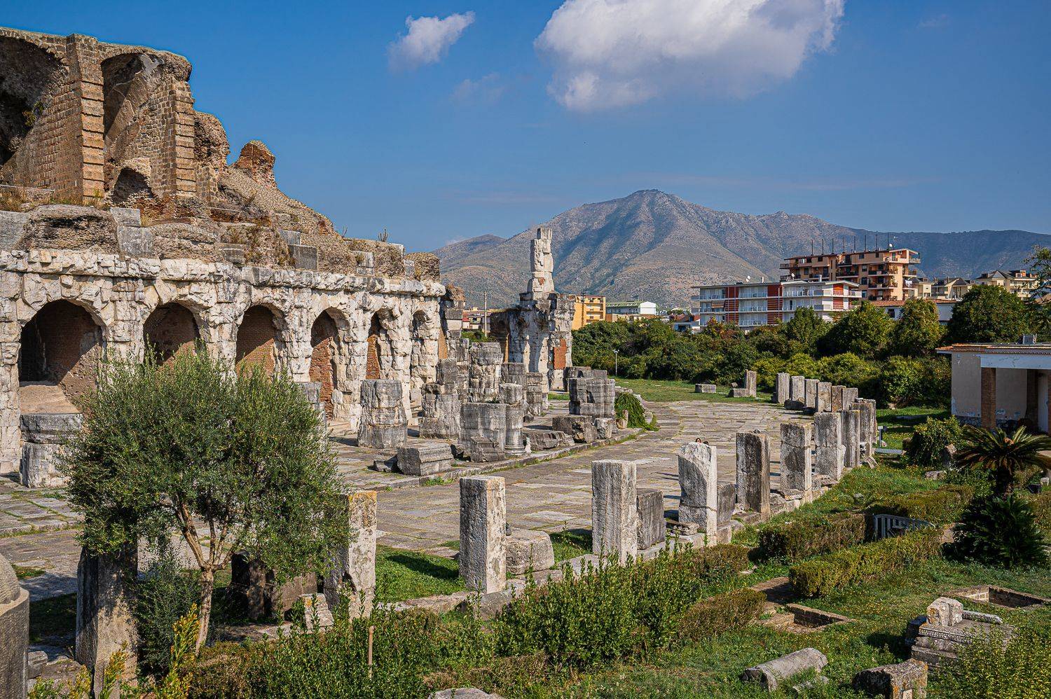 , Максимова Дария