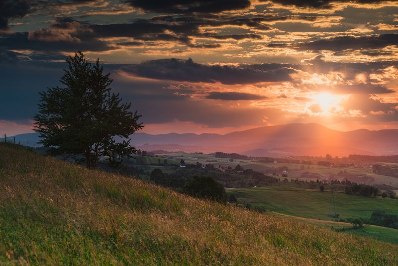 rytro, beskidsadecki, mountains, sunlight, sun, sunset, clouds, tree, plants, grass, horizontal, poland, polska, beskidsądecki, landscape, nikon, tamron, nature,  A Pleasant Surprise фото превью