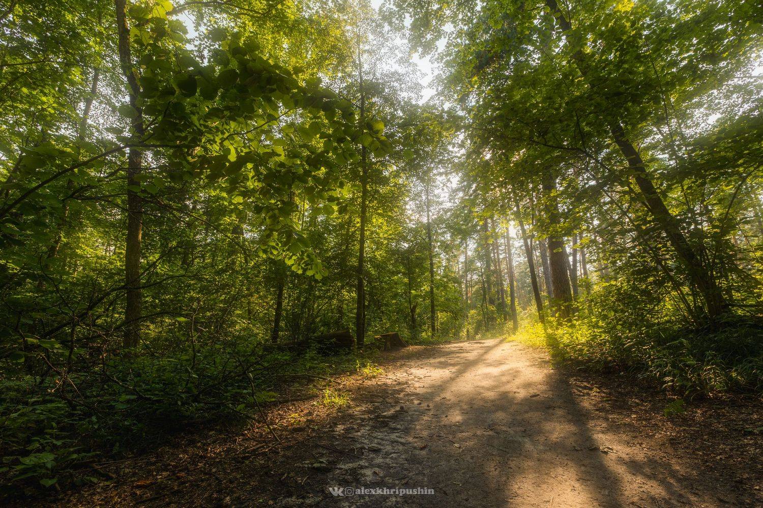landscape, Хрипушин Александр