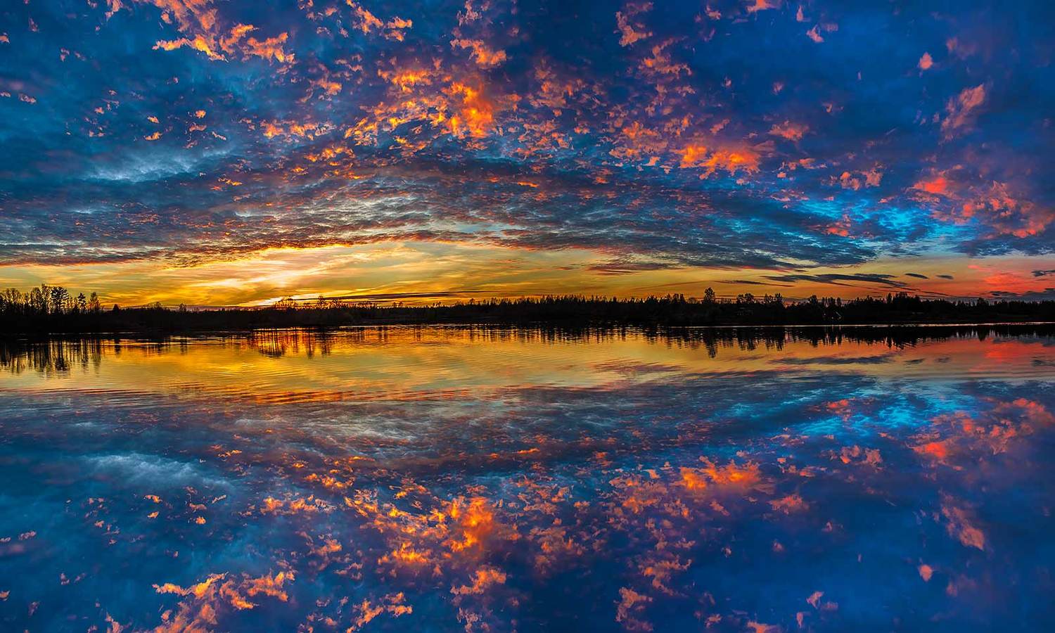 , Напалкин Станислав