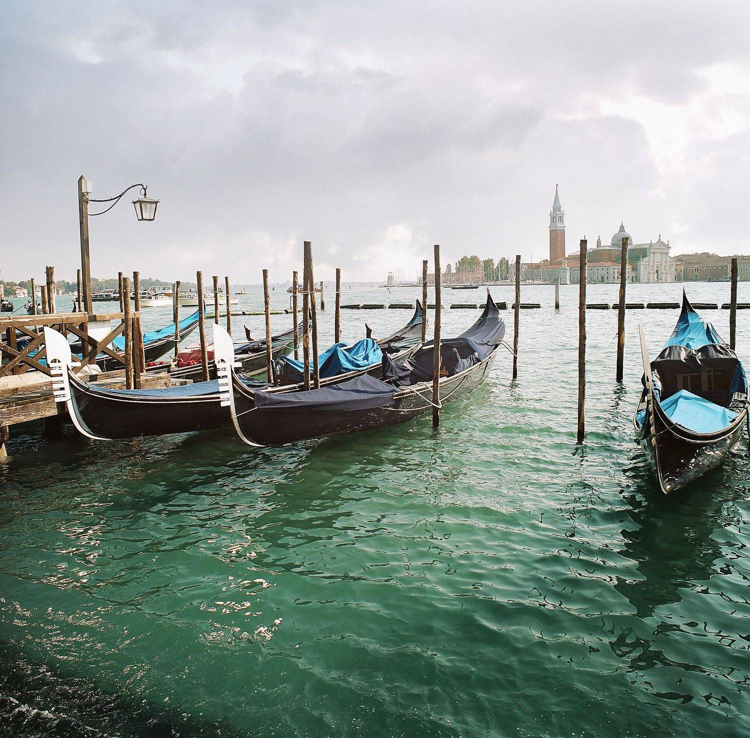 киев88, пленка, аналог, средний, формат, 120мм, Мистер Тигрилло