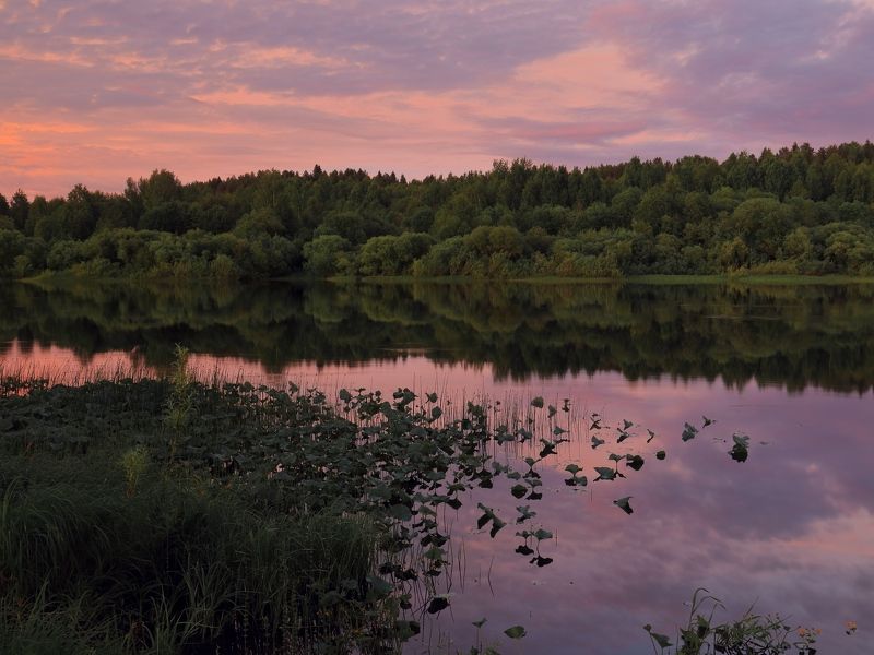 Цвета белой ночи... фото превью