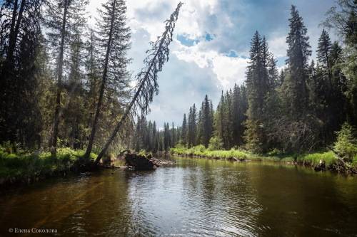 Таежная речка Улс