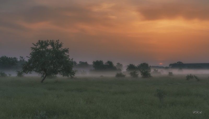 В ожидании.. фото превью