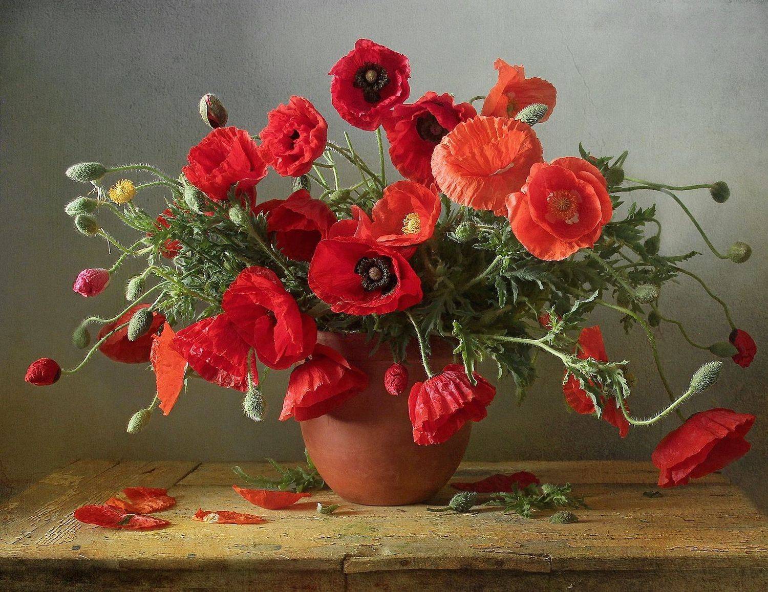 натюрморт, цветы, полевые цветы, лето, марина филатова, маки, Марина Филатова