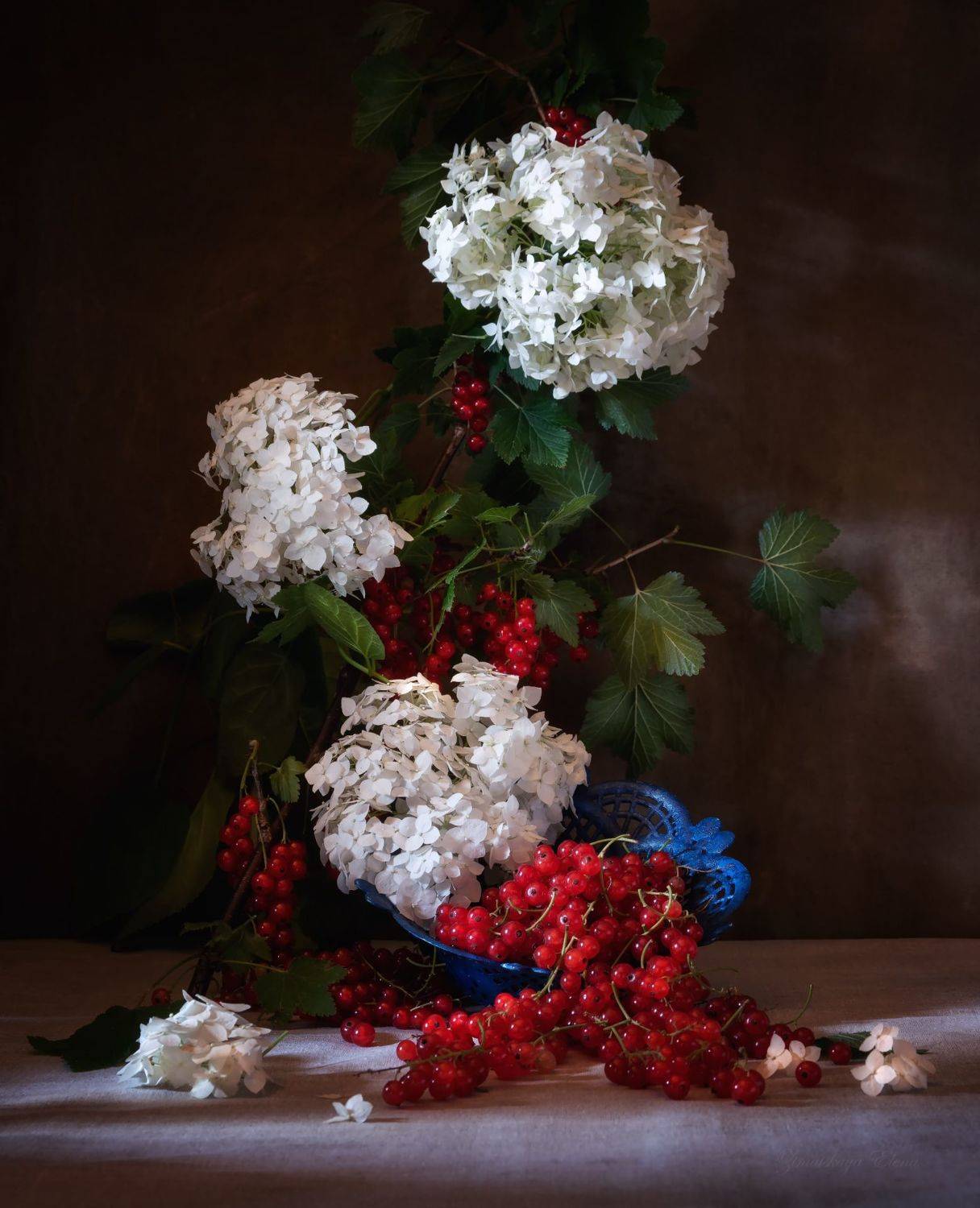 , Елена Зимацкая