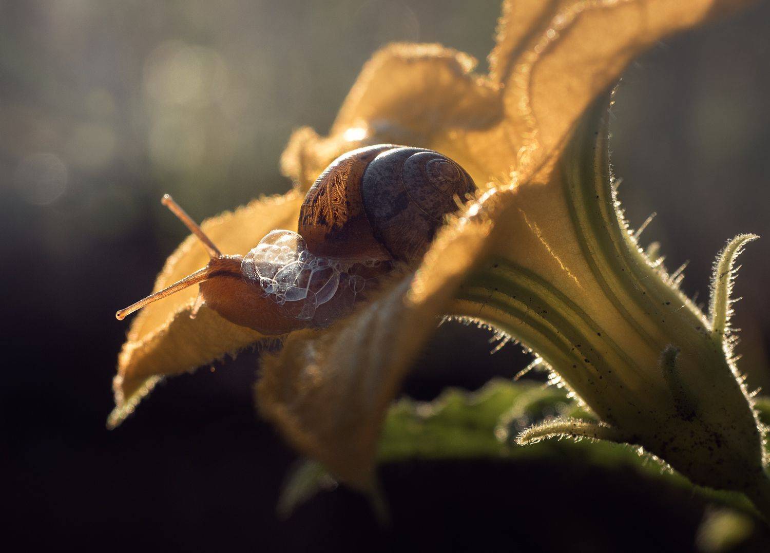 , Баранов Олег