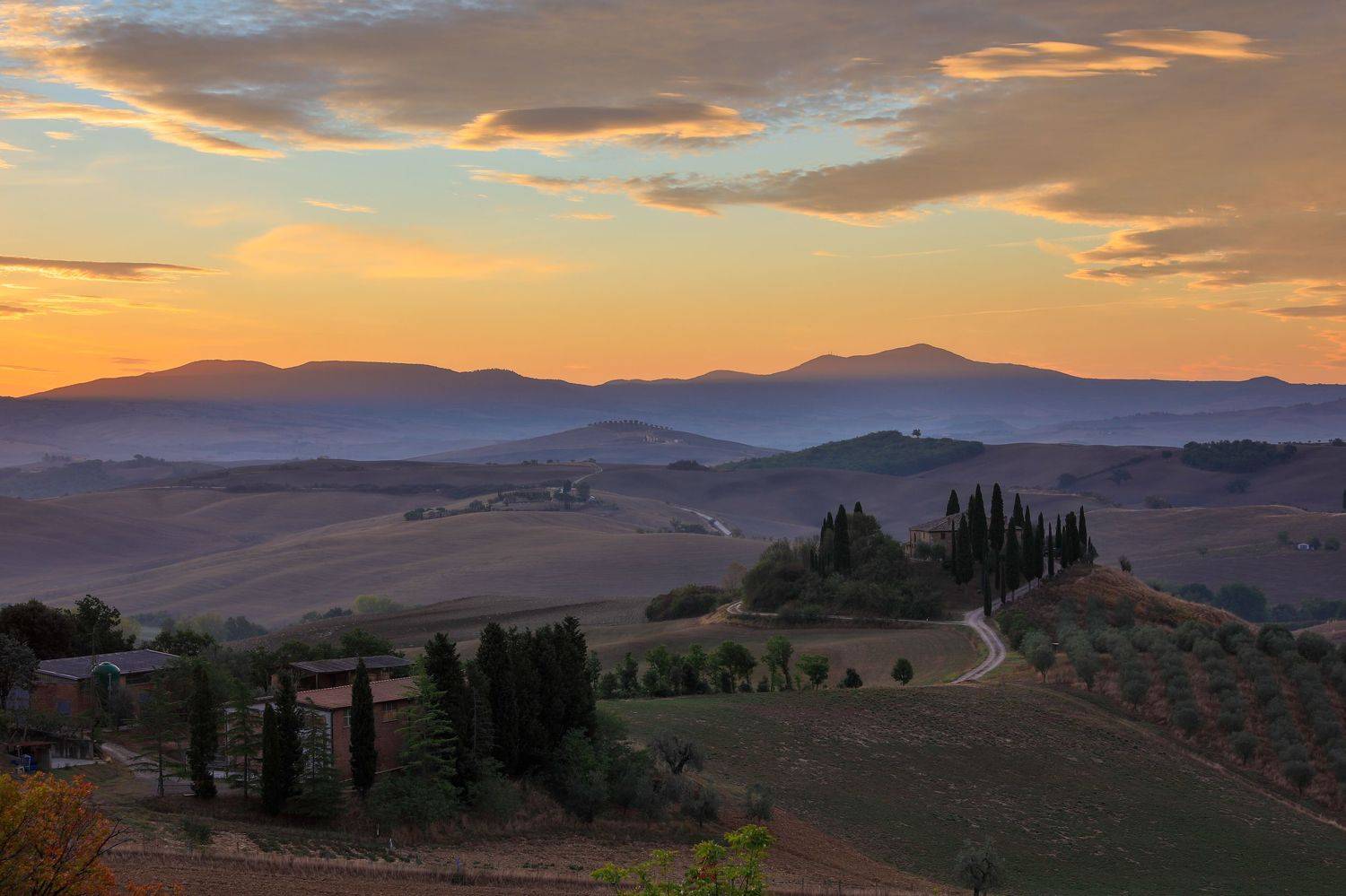 ***, Евгения Чех