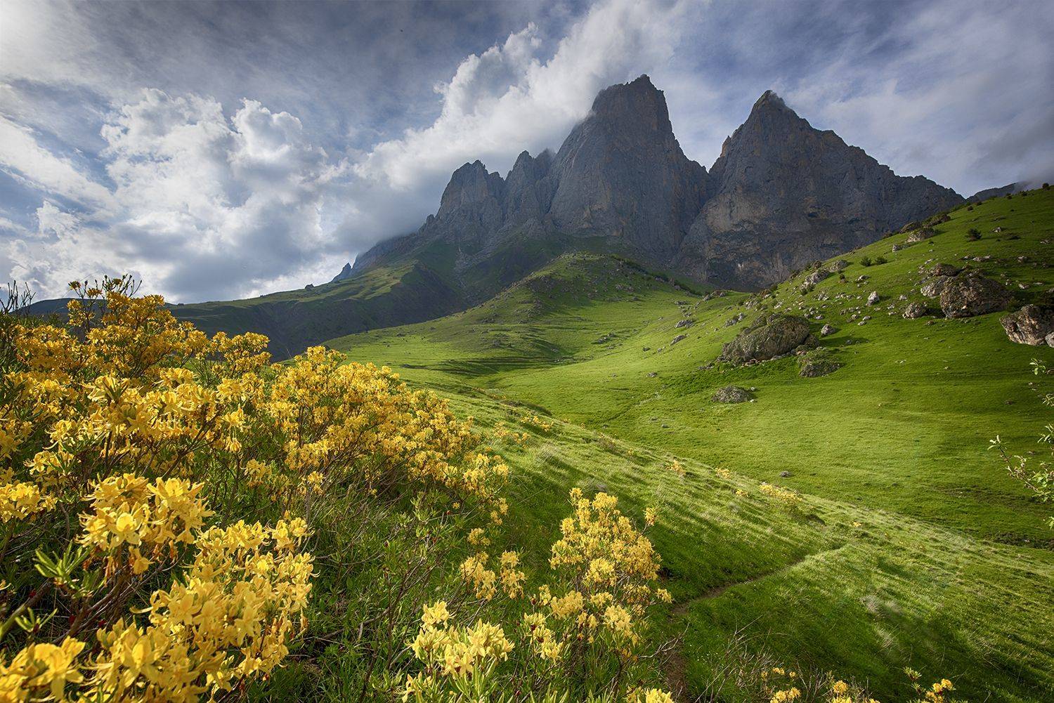 , Альбина Колодяжная