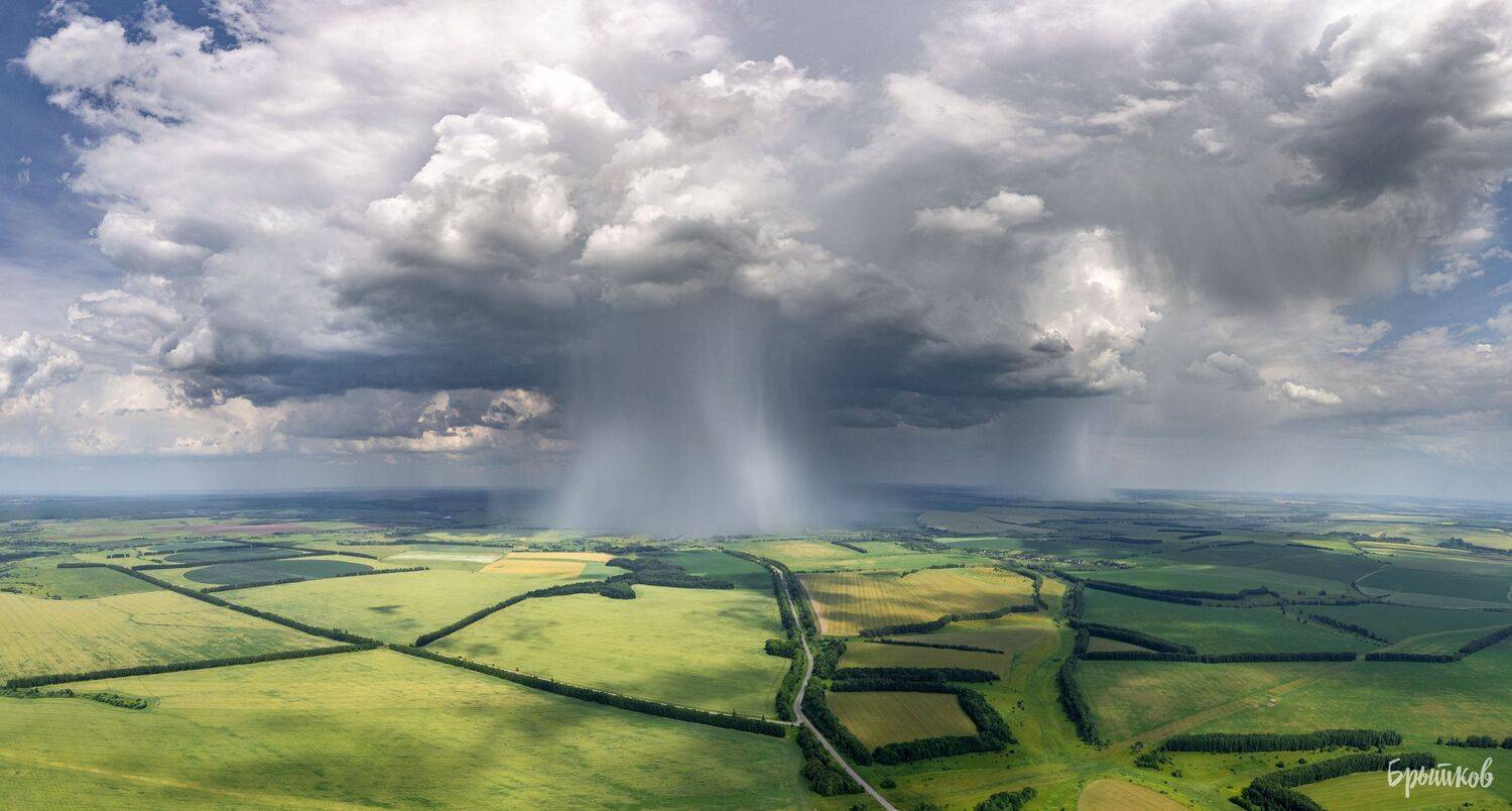 , Николай Брытков