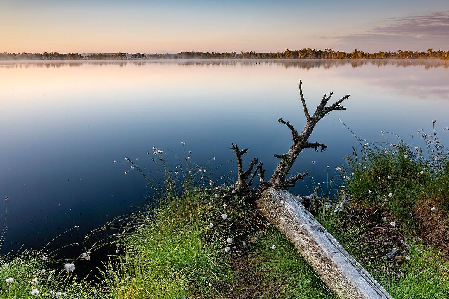 , Александр Абросимов