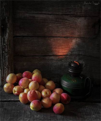 Apricots
