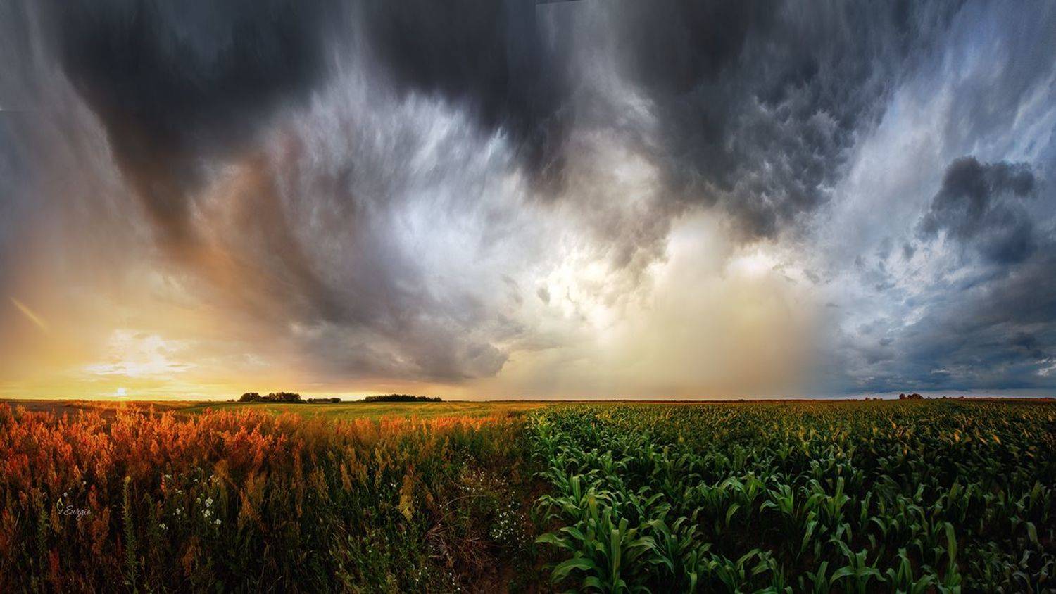 Беларусь, Серж Домбровский