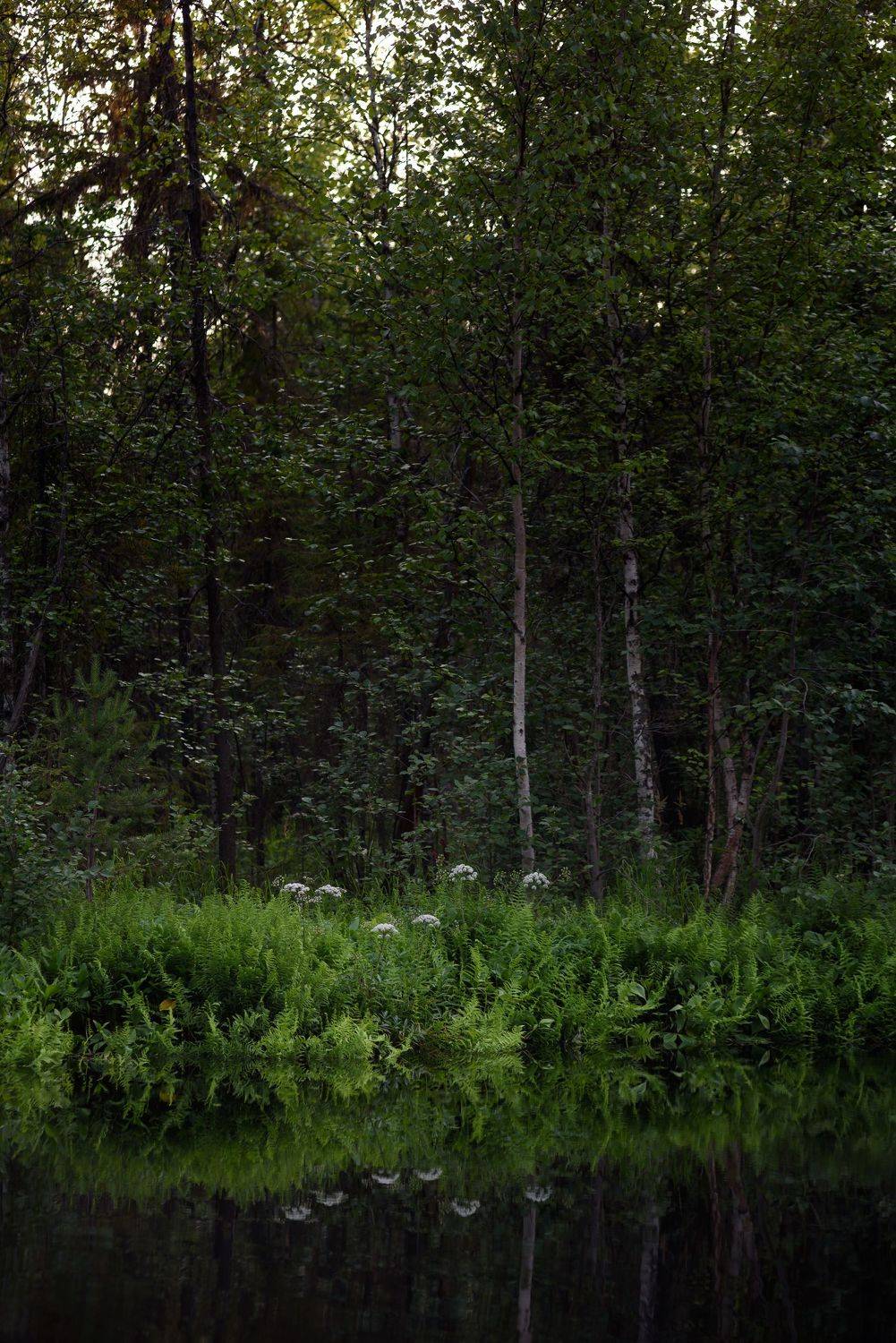 , Григорий Пиль