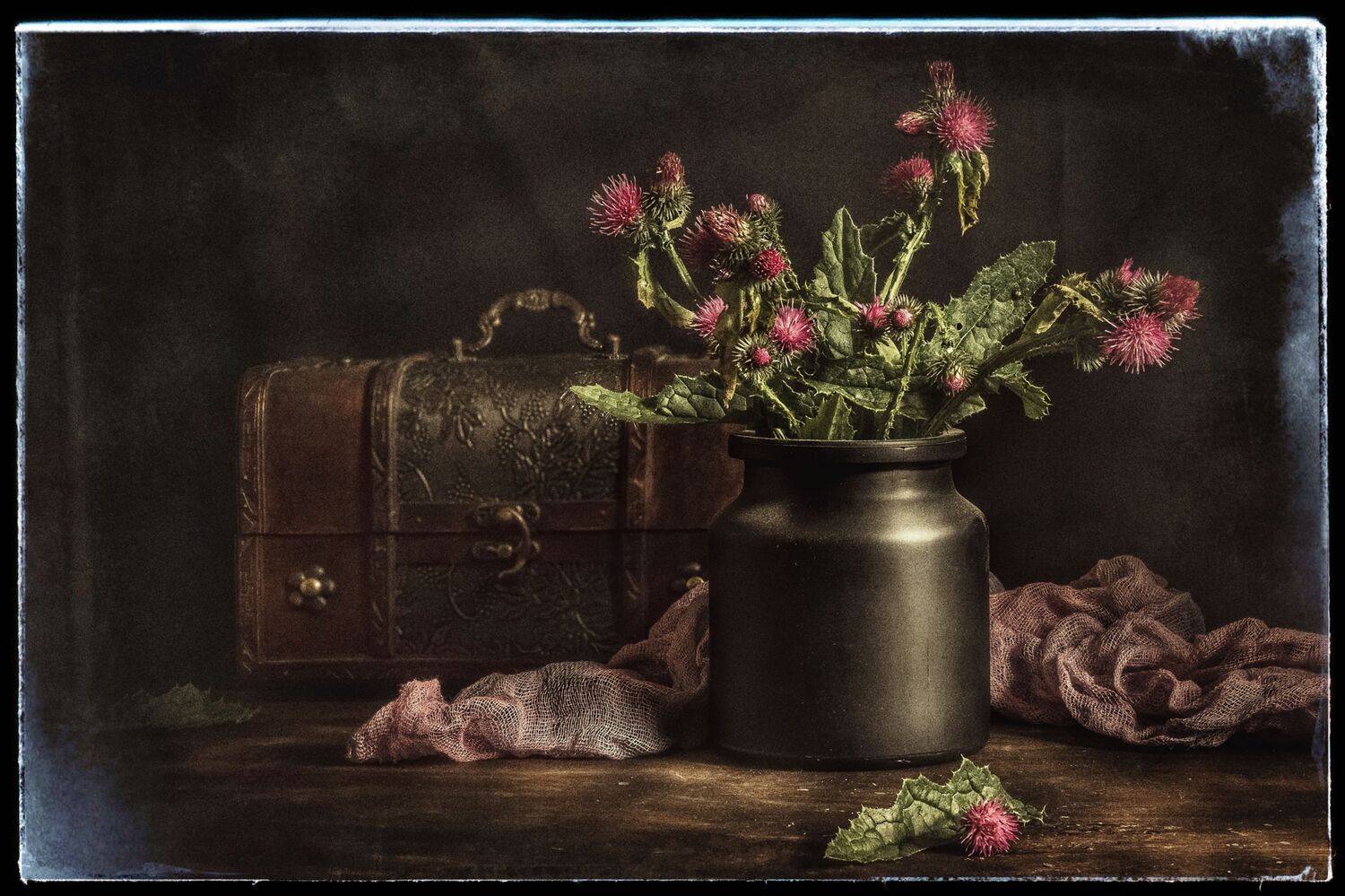 Натюрморт, чертополох, цветы,низкий ключ. , Наталья