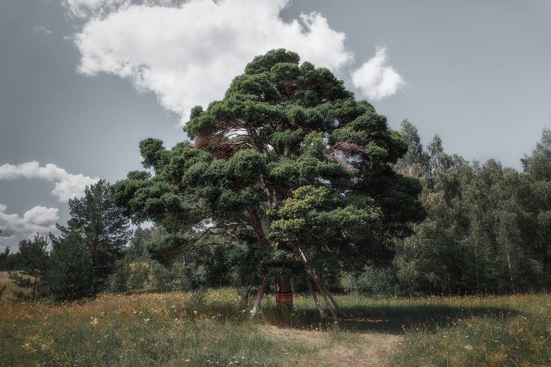 фото превью