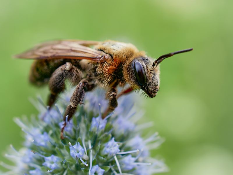 Перерыв фото превью