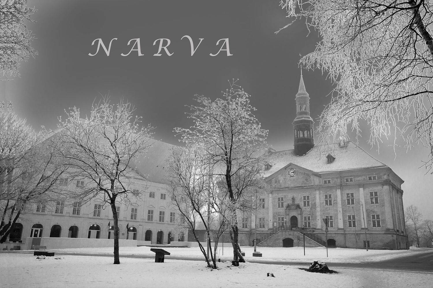 нарва, зима, иней, ратуша, колледж., Сергей Четвертной