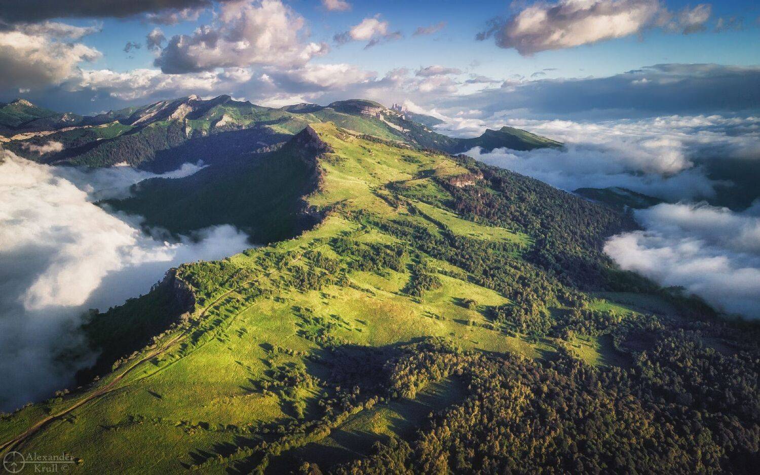 бамбаки, Александр Круль