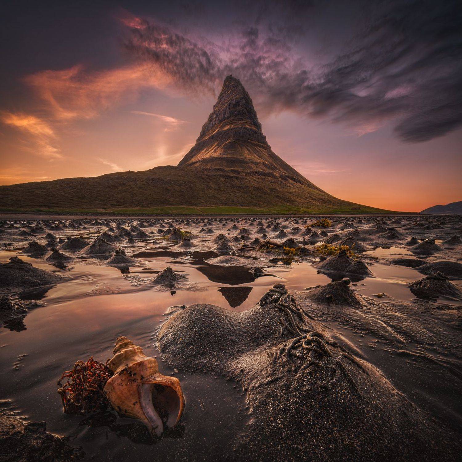 iceland, lugworms, sandworms, sunset, sand, kirkjufell, worms, Калин Панчев