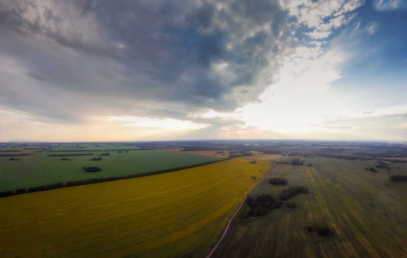 Закат над солнечными цветами! фото превью