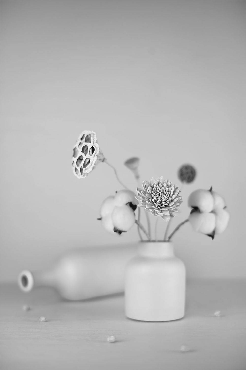 натюрморт, хлопок, лотос, ликвидамбар, сосновая шишка, маргаритка, Александр