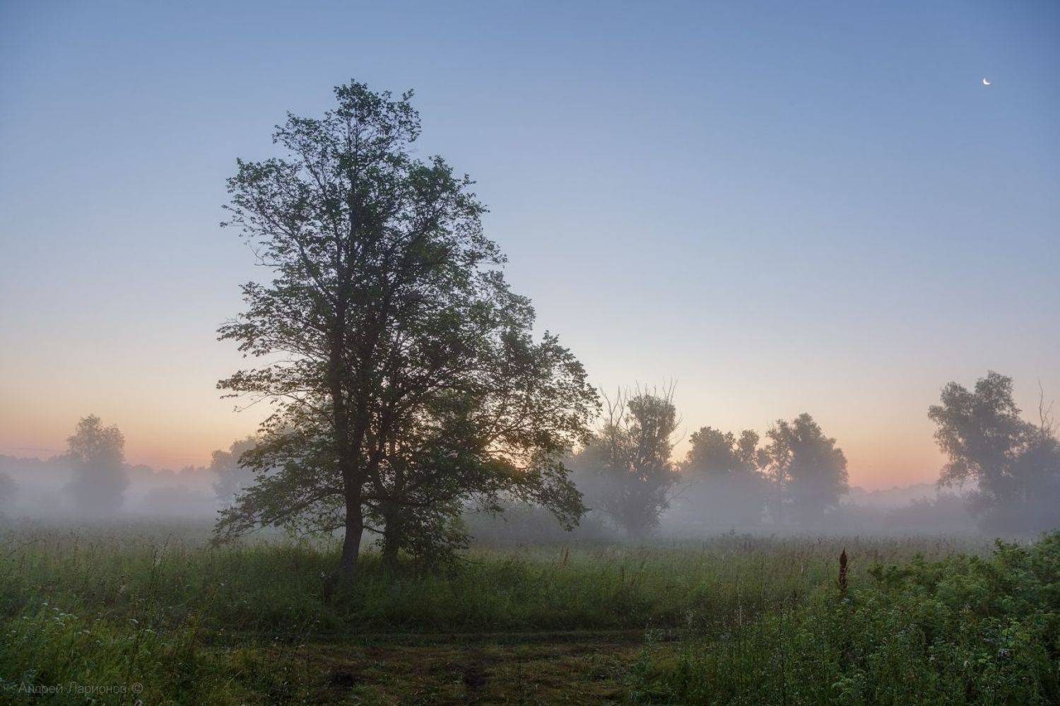 , Андрей Ларионов