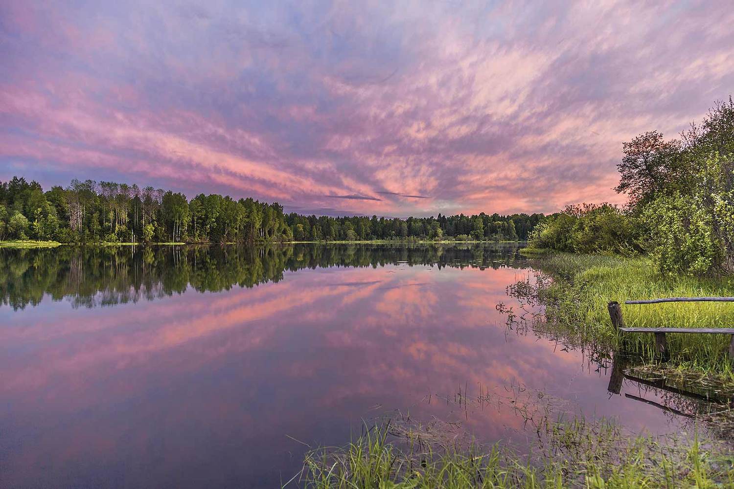 , Напалкин Станислав