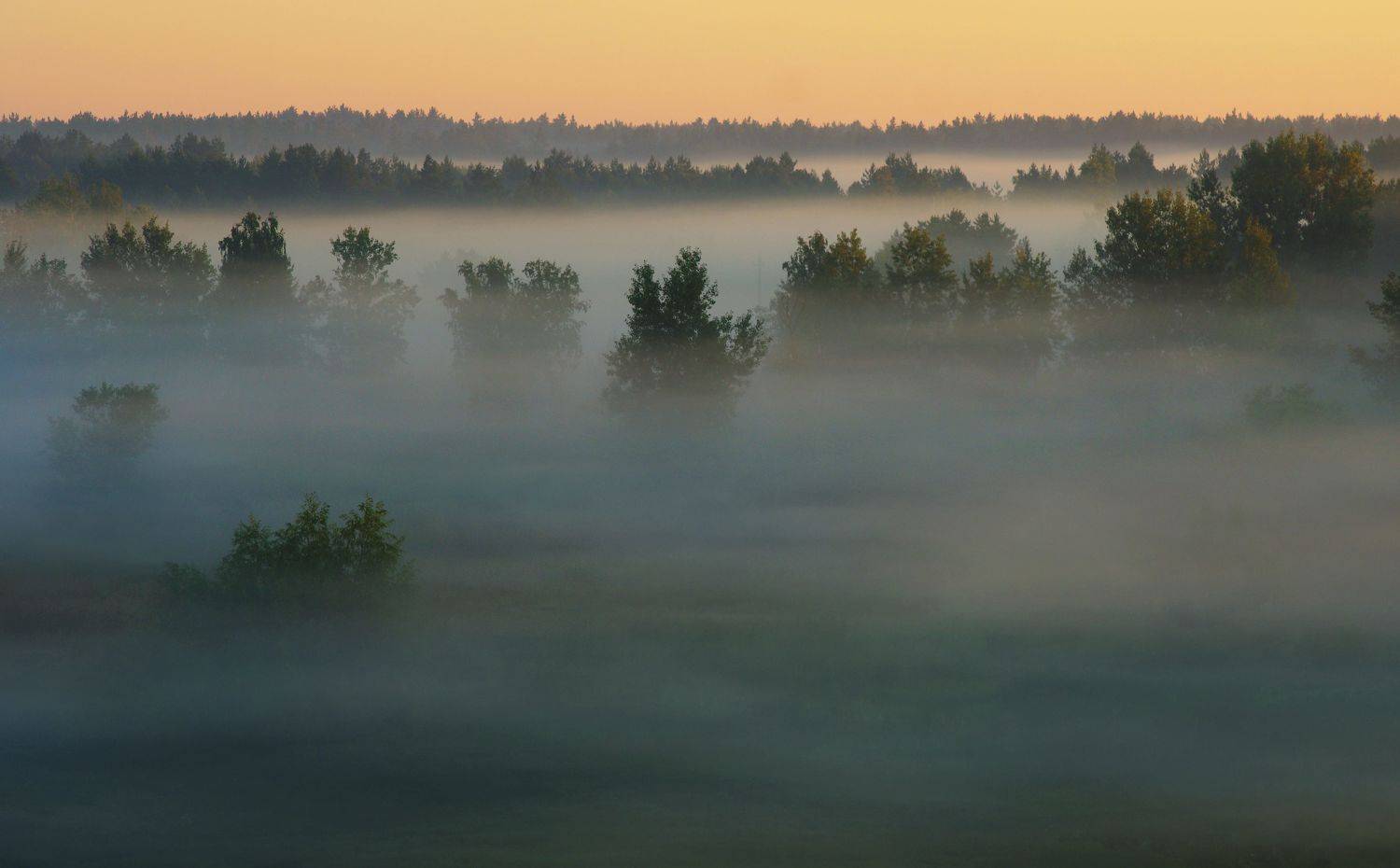 , Сергей Шляга