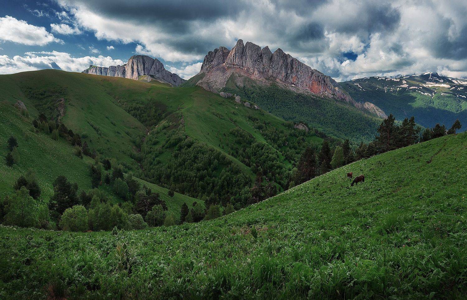 , Андрей Родионов