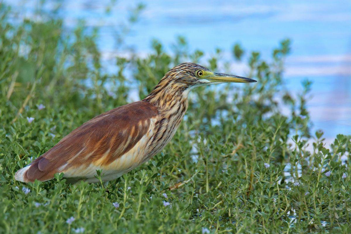 , Людмила Бекман