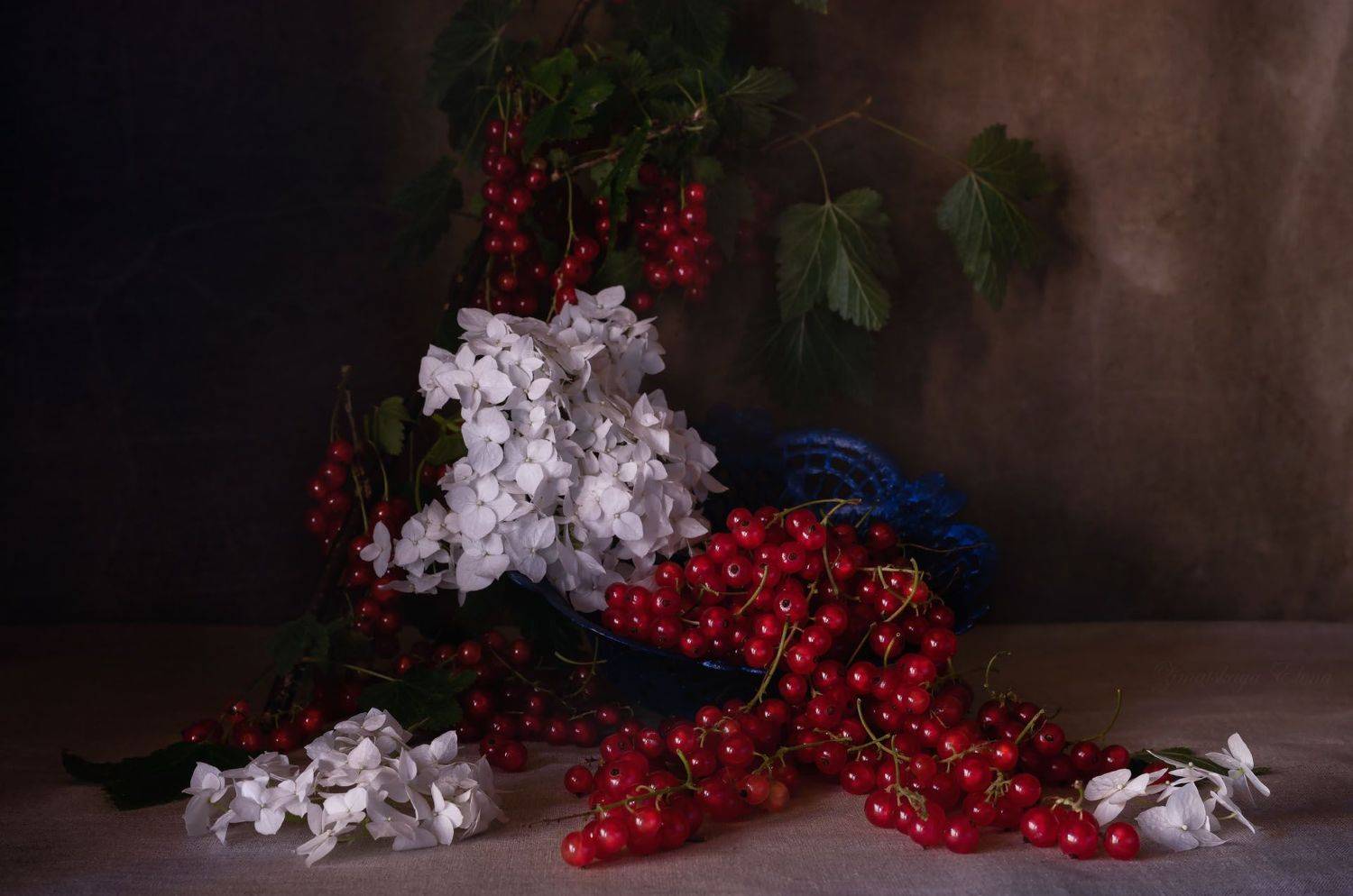 , Елена Зимацкая