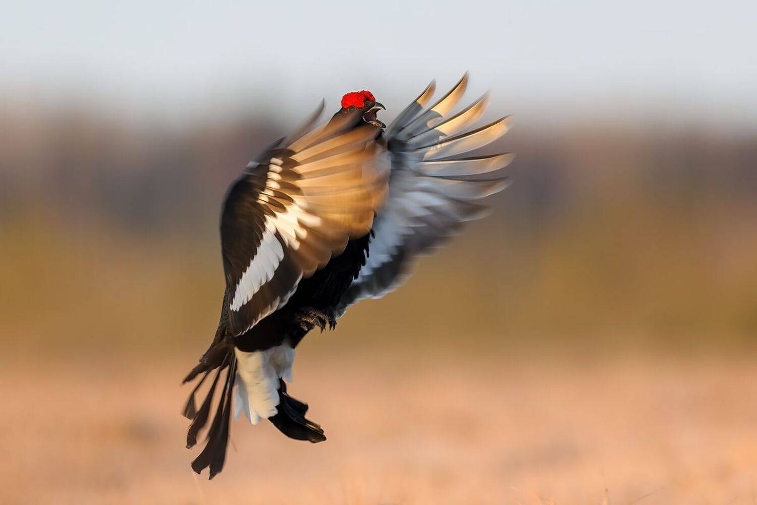 , Калинин Михаил