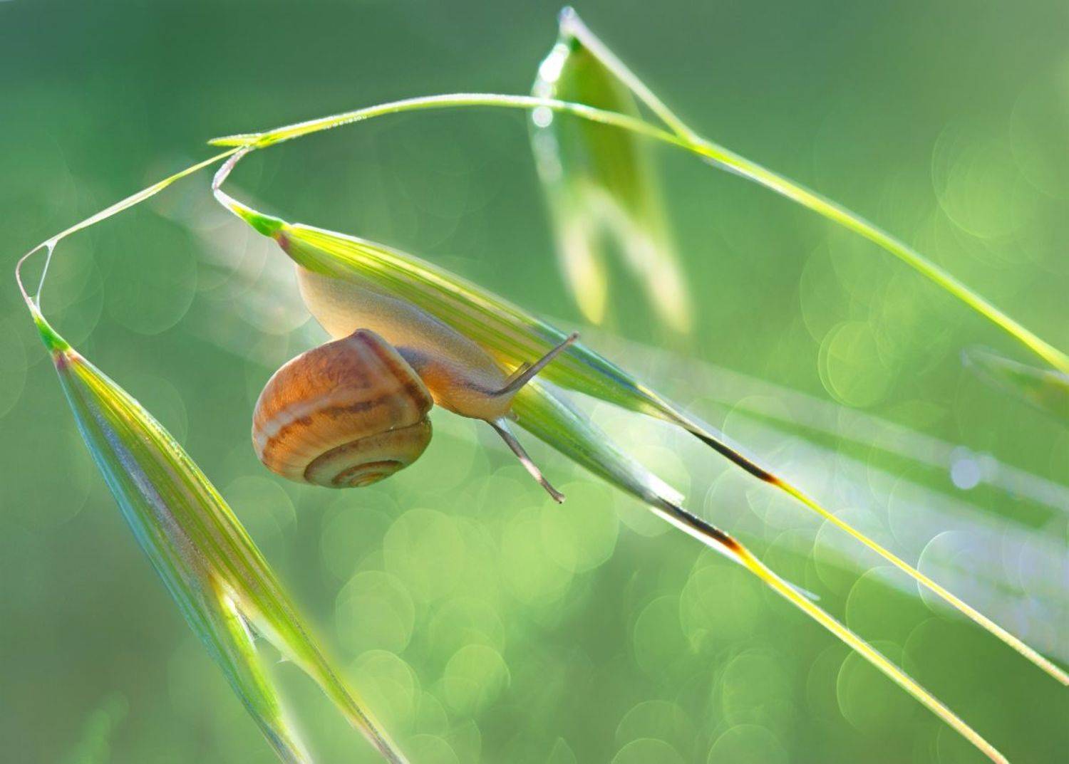 , Людмила Бекман