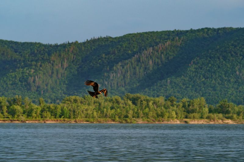 *** фото превью