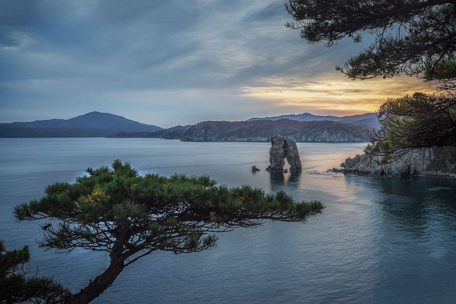 , Елена Маковоз