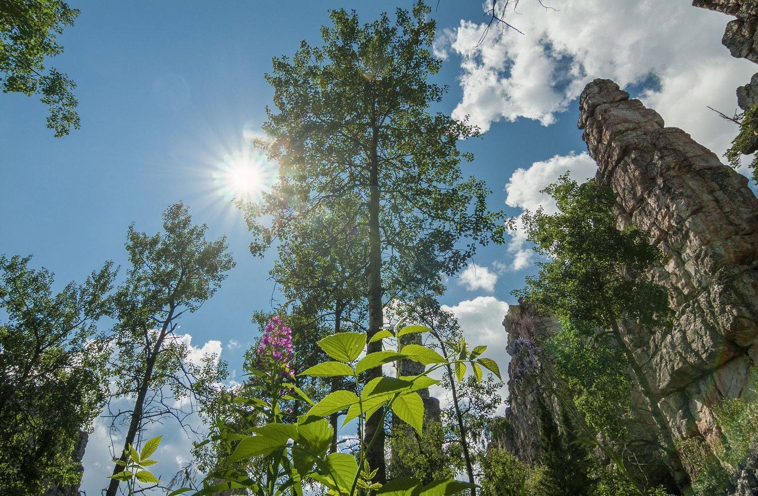 зубчатки, арена, тирлян, инзер, Шустиков Дмитрий