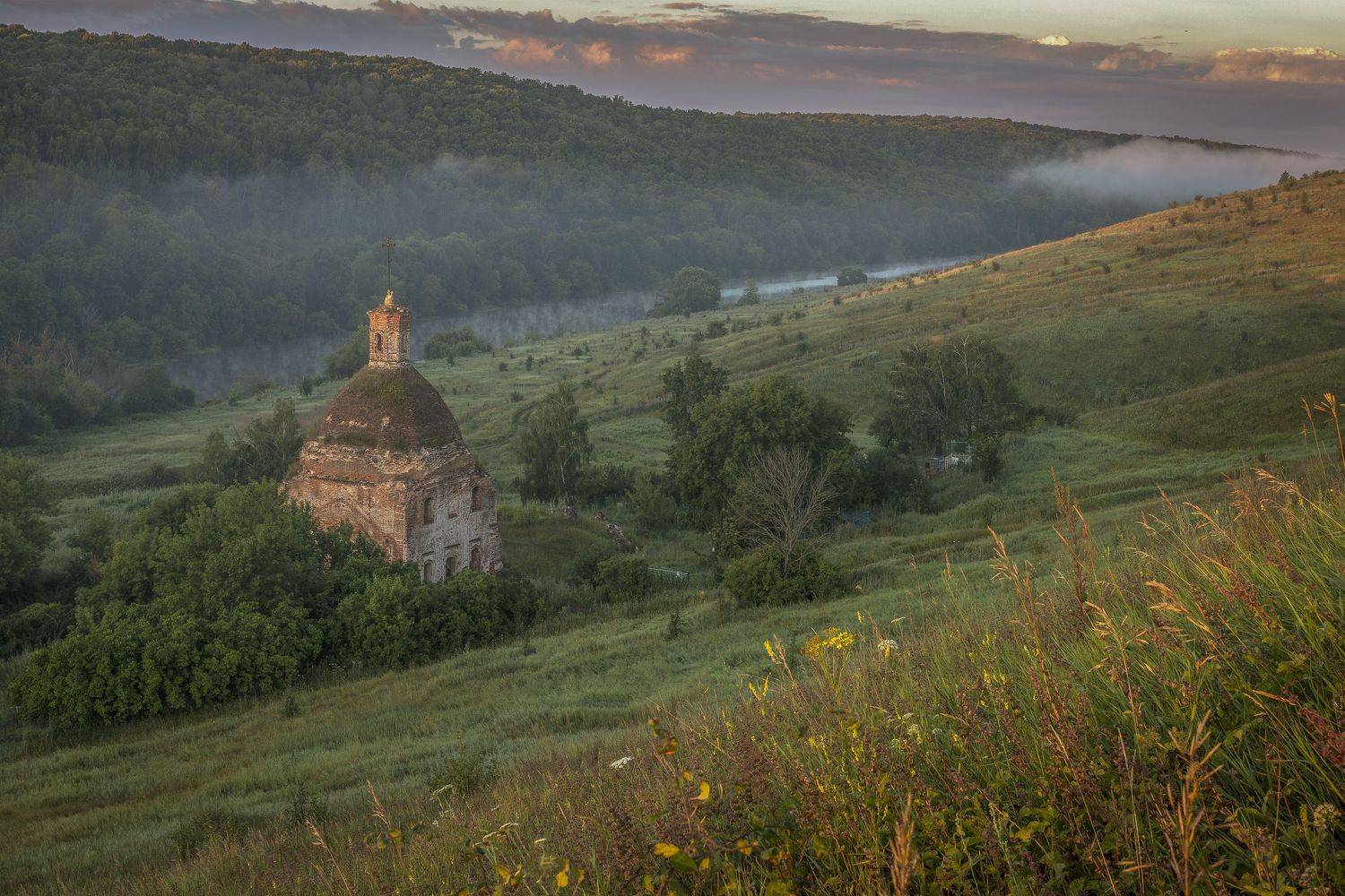 Тульская область, Гусева Елена