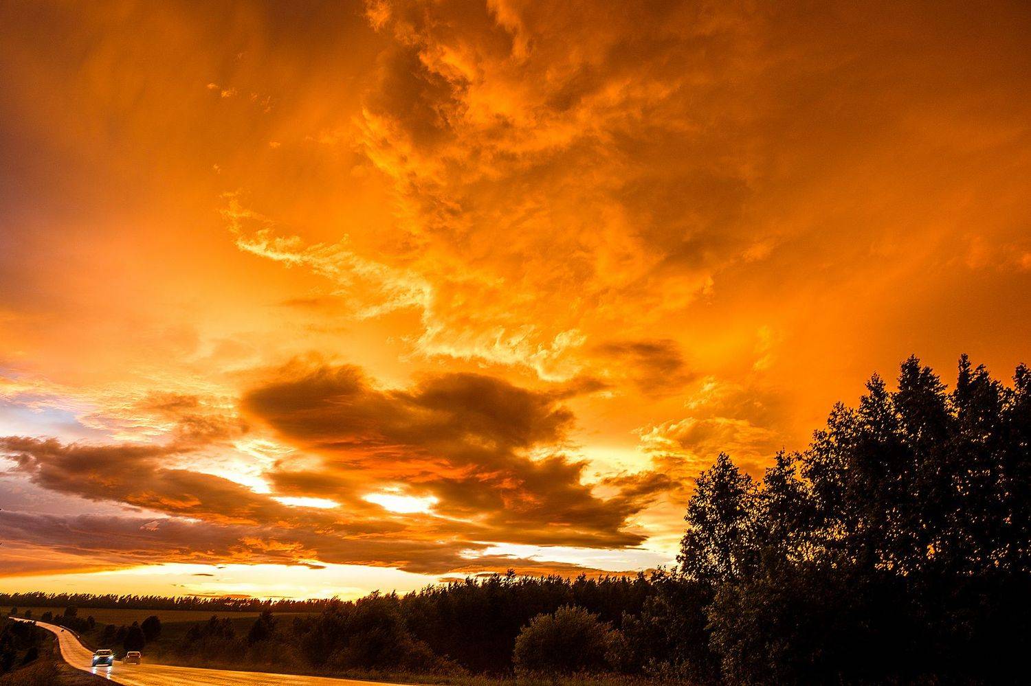 , Александр Потапов