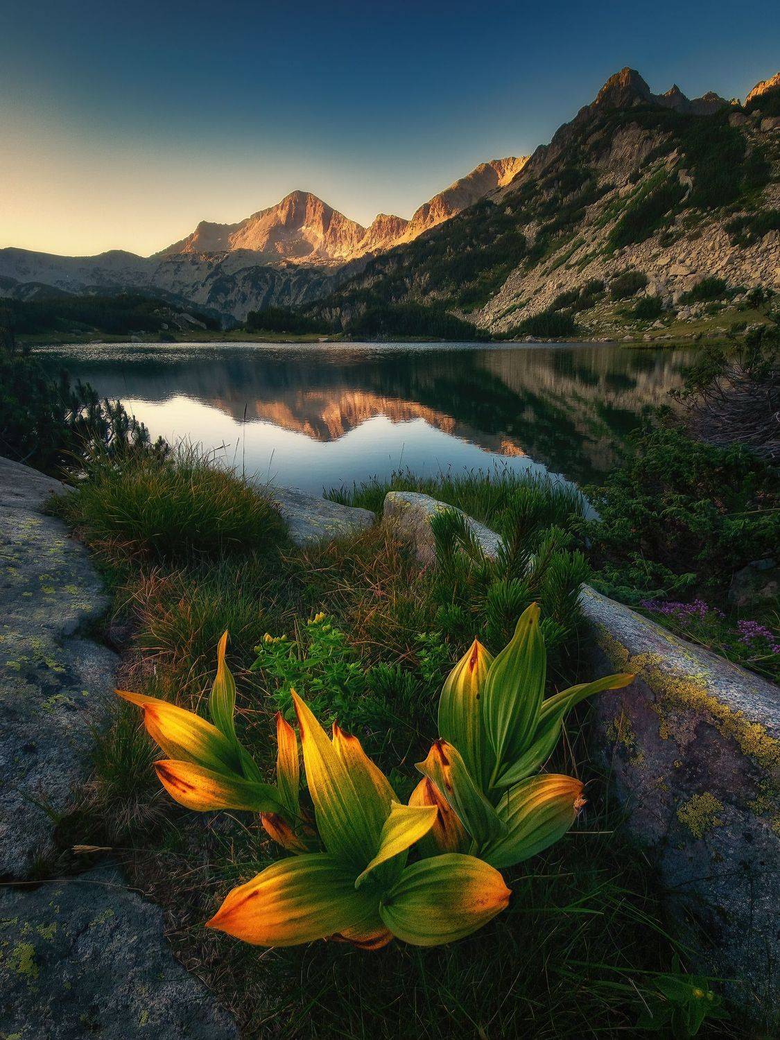 , Красимир Матаров