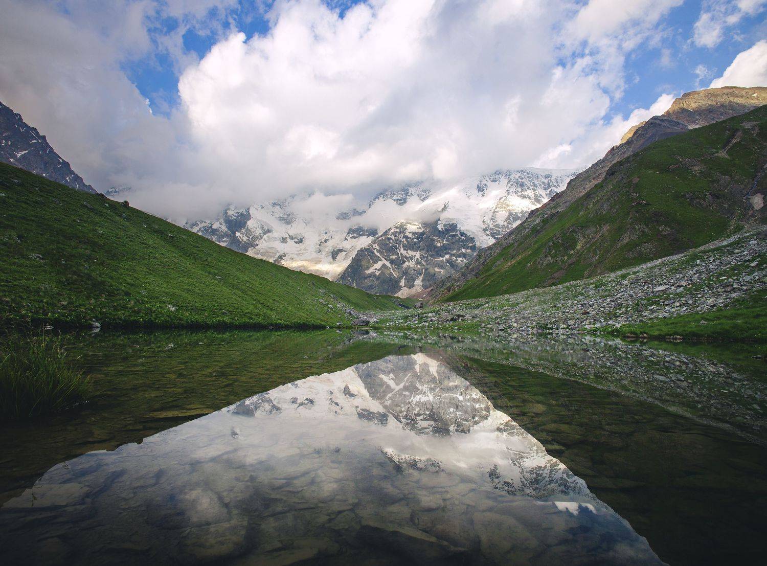 , Разум Митя