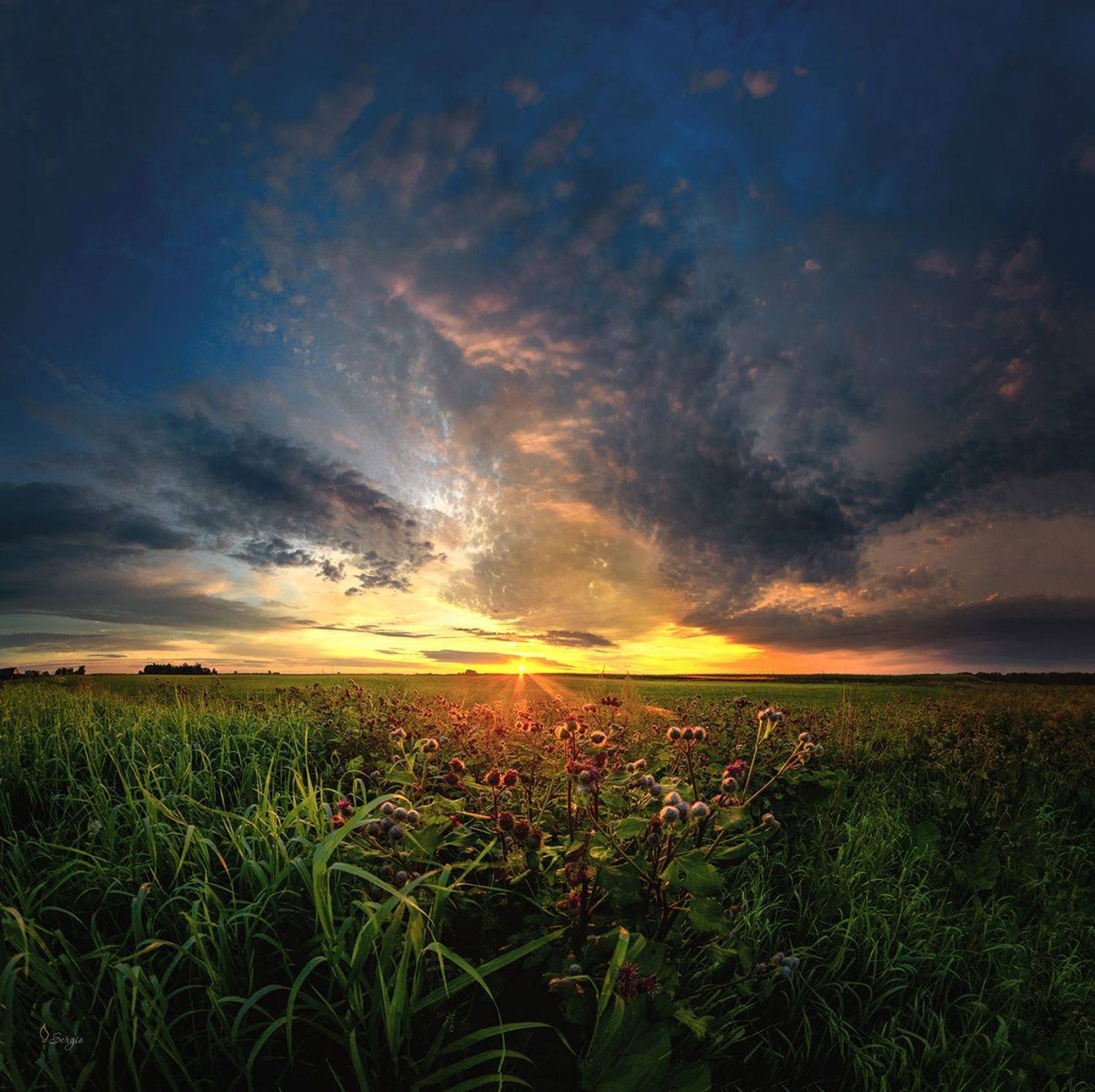 Беларусь, Серж Домбровский